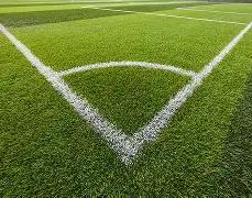 预见双色奇,期双色球独,家策略,体彩大发彩票网,体育彩票,大发彩票网,足球彩票,篮球彩票,官方网站