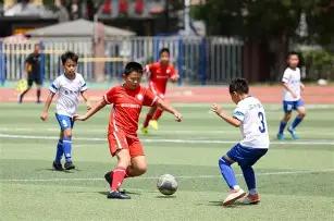 双色球秘籍,期精准预测,绝杀一码,体彩大发彩票网,体育彩票,大发彩票网,足球彩票,篮球彩票,官方网站