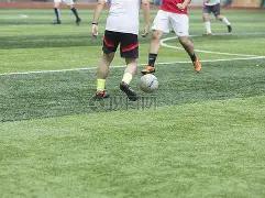 双色球盛宴,期精选复式,号码推荐,体彩大发彩票网,体育彩票,大发彩票网,足球彩票,篮球彩票,官方网站