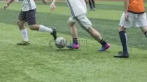 澳门启幕首届大湾区未庥豆mv媒体视频商业论坛