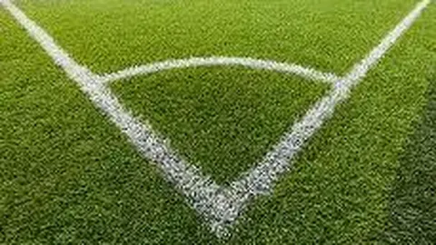 [预见双色奇迹]2025138期双色球独家策略：12红球+2蓝球搭配，速速关注解锁好运！