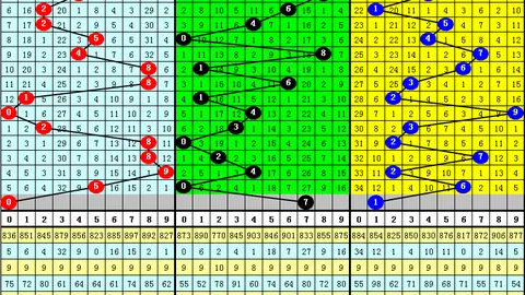 【彩民必看】2026年双色球第018期独家推荐：复式8+2，错过等一年，速来抢购！