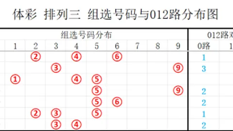 双色球元宝攻略：前期解析助力1612万大奖，本期精选号码冲击大奖再续辉煌